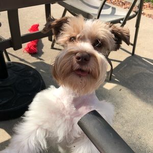 Mendy Navy Large Zip Barlow